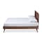 Baxton Studio Zenon Mid-Century Walnut Brown Finished Wood Full Size Platform Bed 156-9407-9419 - alternate 5